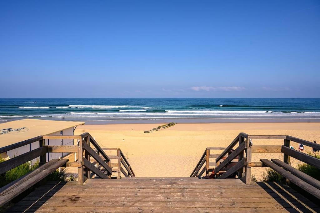 La Cabane Maddyblue 5 Min A Pieds De L'Ocean Et Commerce Mimizan-Plage Eksteriør bilde
